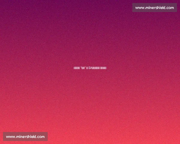 文旅市集 “助攻” 浙 BA：赛场热辣 市集飘香